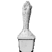 hyacint