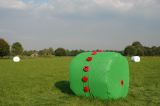 DSC00398