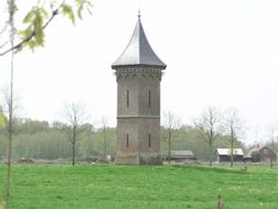 inspiratievoorbeeld - oude druiventoren