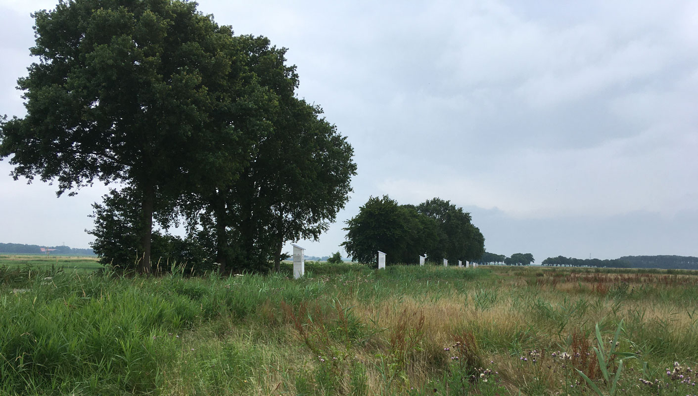 Negen bakens langs de Dijk op Schokland