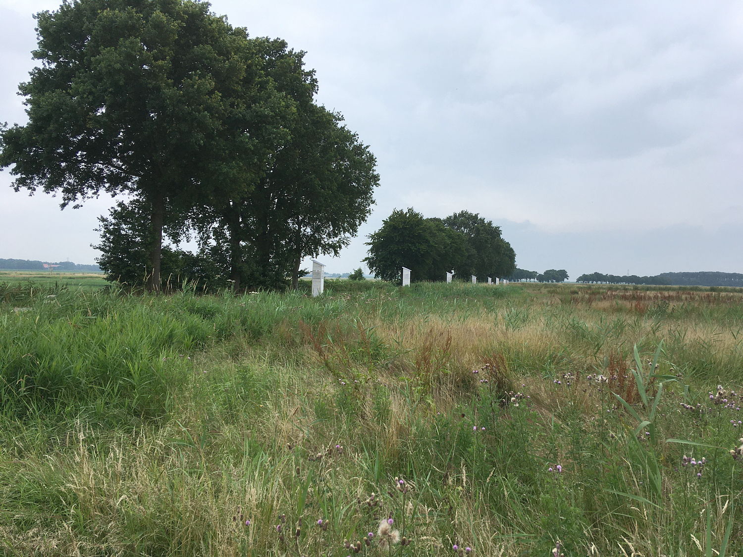 installatie Schokland 2021 - 9 dijkbewakers - door Heren4 kunstbroeders uit Tilburg